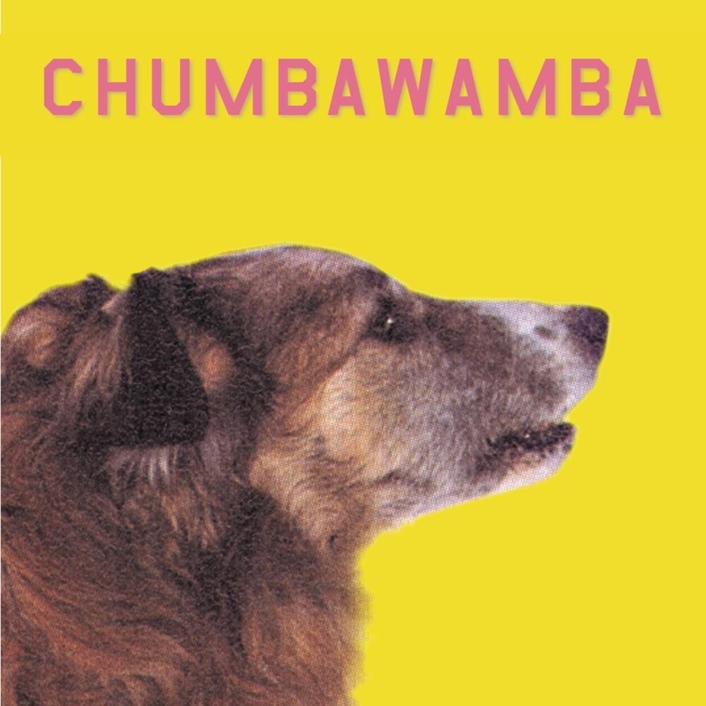 WWW Dot by Chumbawamba