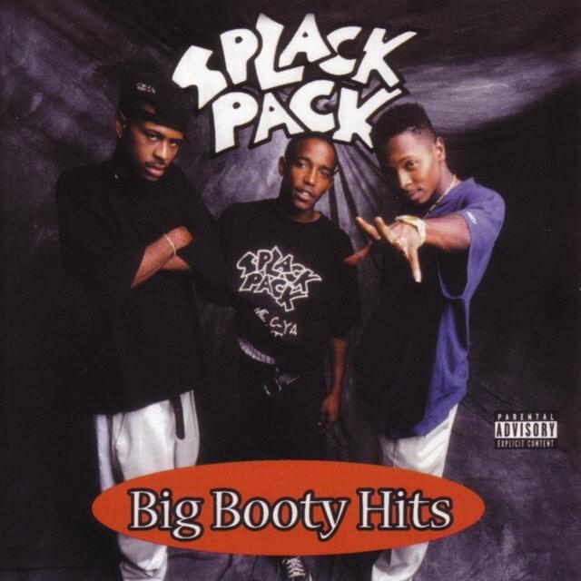 Shake That Ass Bitch by Splack Pack