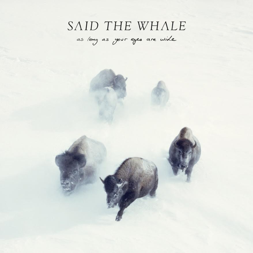 Confidence by Said The Whale