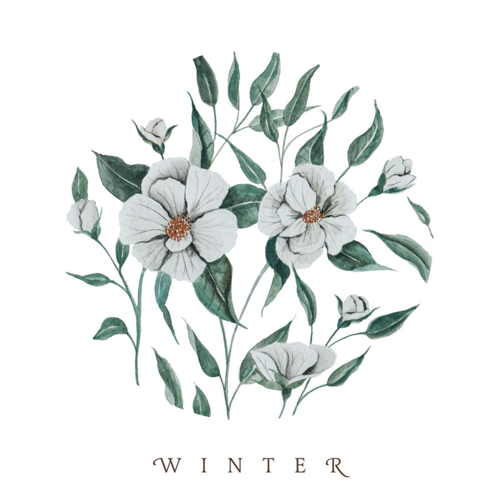 Cover image for Winter