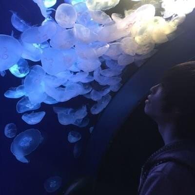 Photo of Sky_delta
