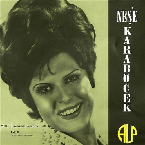Cover image for Damarımda Kanımsın / Eyvah – Single