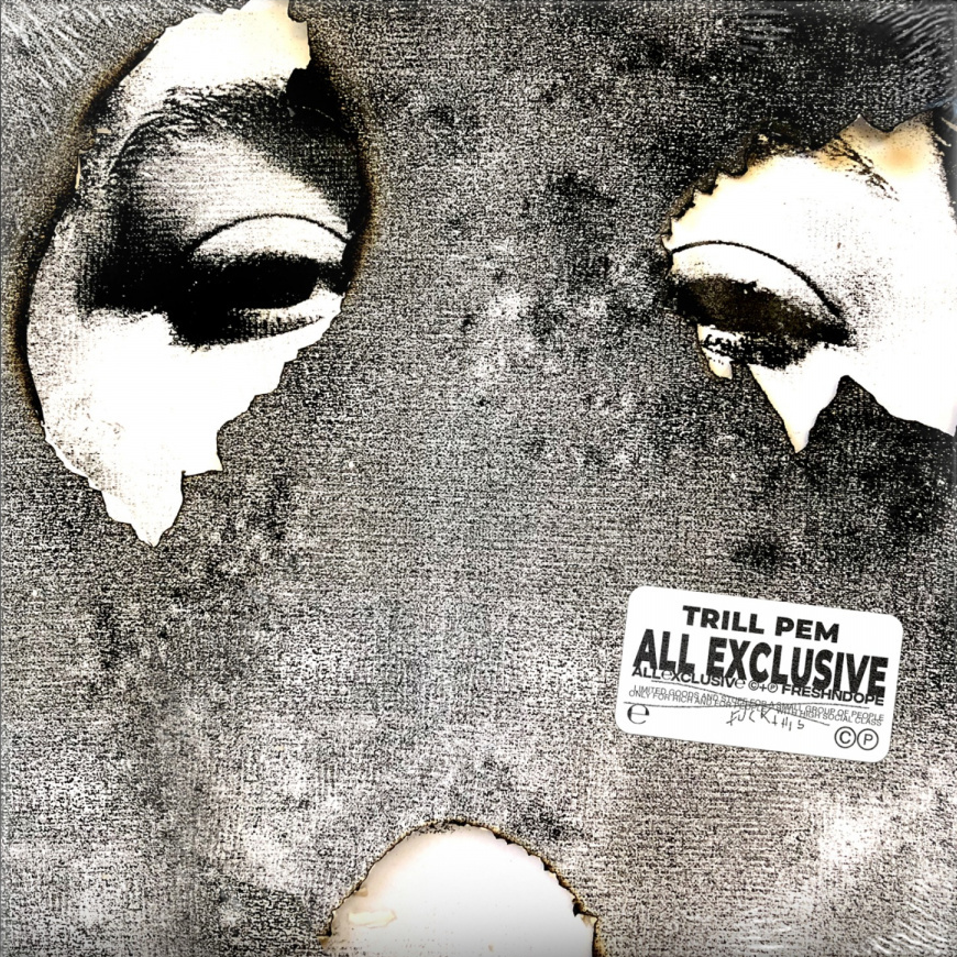 Cover image for All Exclusive