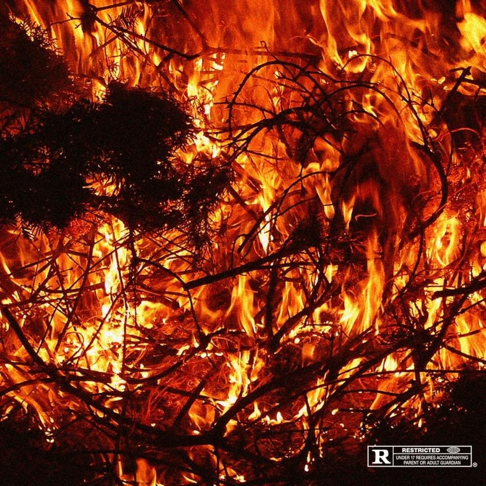 Cover image for Phéromone