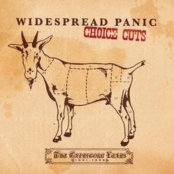 Cover image for Choice Cuts: The Capricorn Years 1991-1999