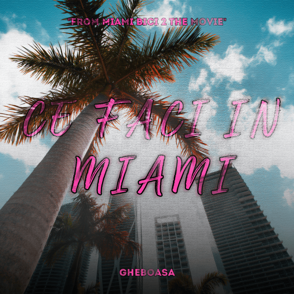 Album cover art for "Ce faci în Miami" by Gheboasă