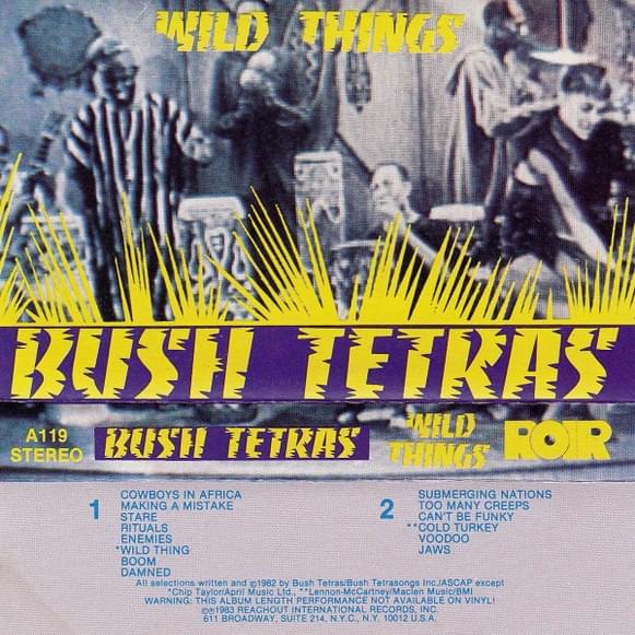 Submerging Nations by Bush Tetras