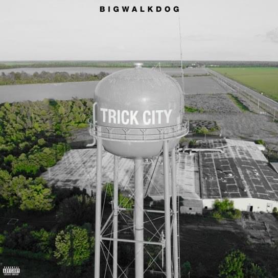 Cover image for Trick City (Deluxe)