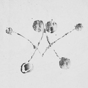 Cover image for Waterstrider