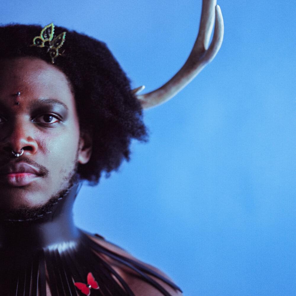 Album cover art for "Reproductive" by Shamir