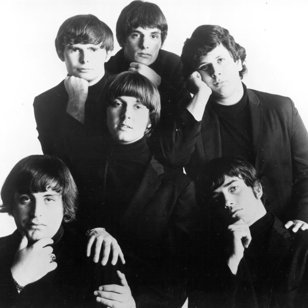 Photo of The Turtles