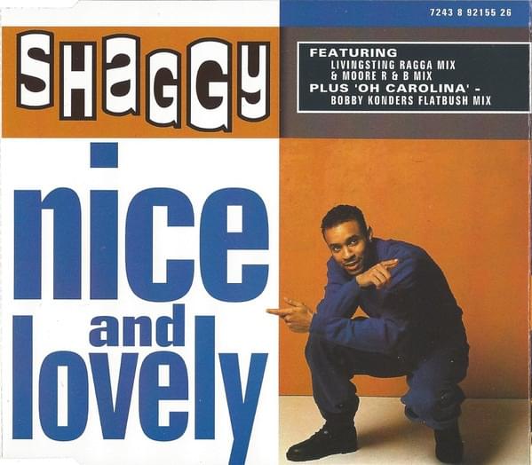 Album cover art for "Nice and Lovely" by Shaggy & Rayvon