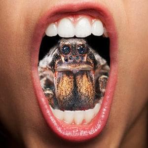 Album cover art for "Giant Spiders of the Universe" by Lionize