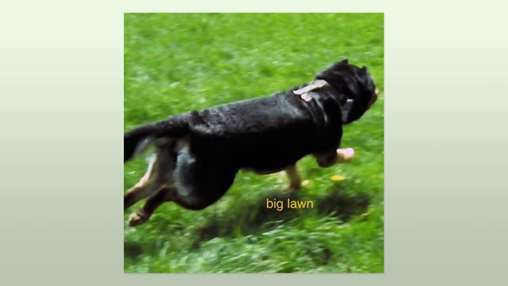 Album cover art for "Big lawn" by Conor Lynch