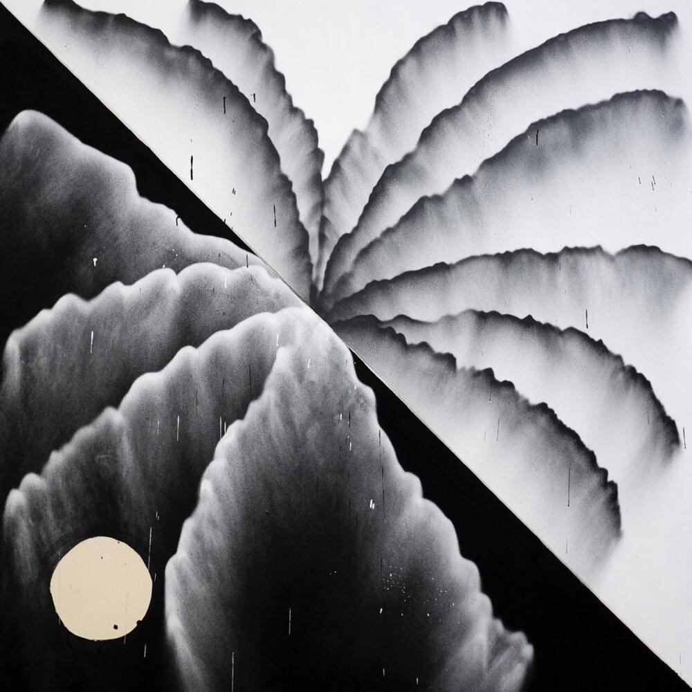 Nice & Shiny by Shlohmo