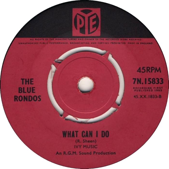 What Can I Do by The Blue Rondos