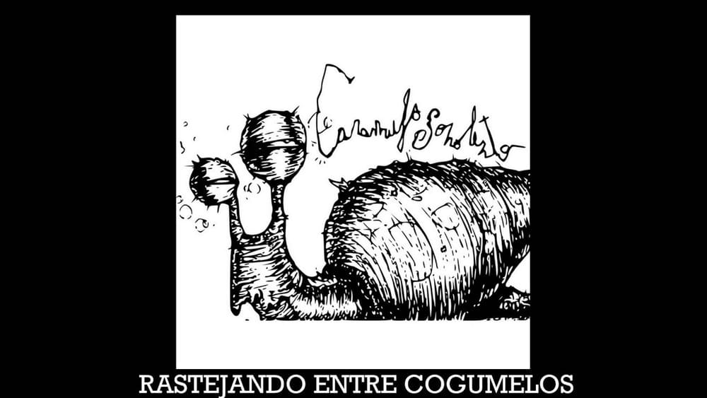 Rastejando entre Cogumelos by Caramujo Sonolento
