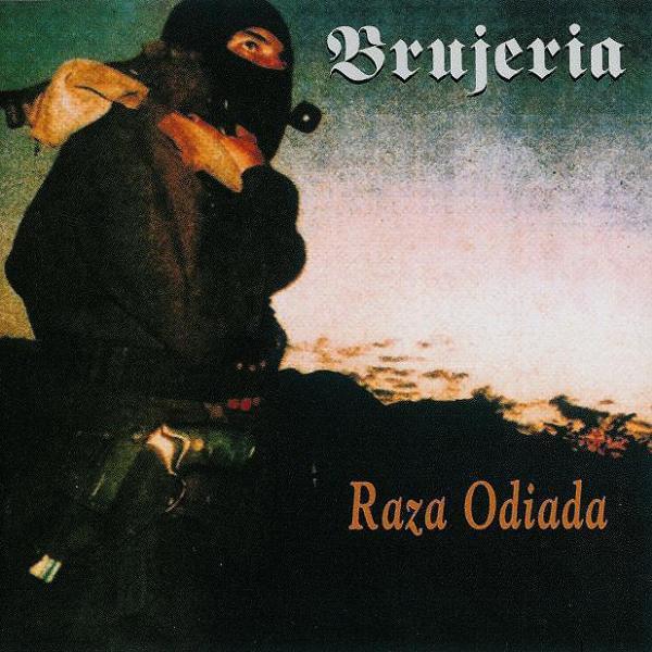 Cover image for Raza odiada