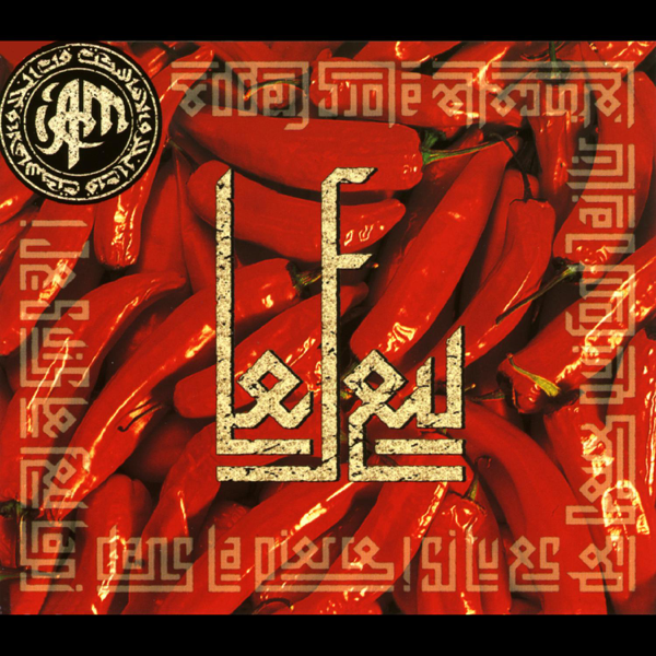 Album cover art for "Le Feu (Prodigal Mix)" by IAM