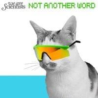 Album cover art for "Not Another Word" by We Are Scientists