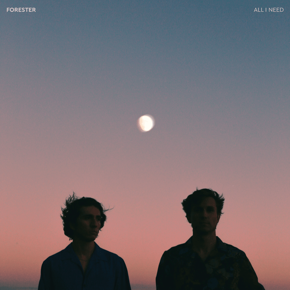 Album cover art for "All I Need" by Forester