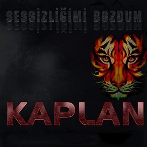Cover image for Sessizliğimi Bozdum