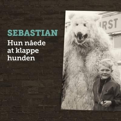 Cover image for Hun Nåede At Klappe Hunden