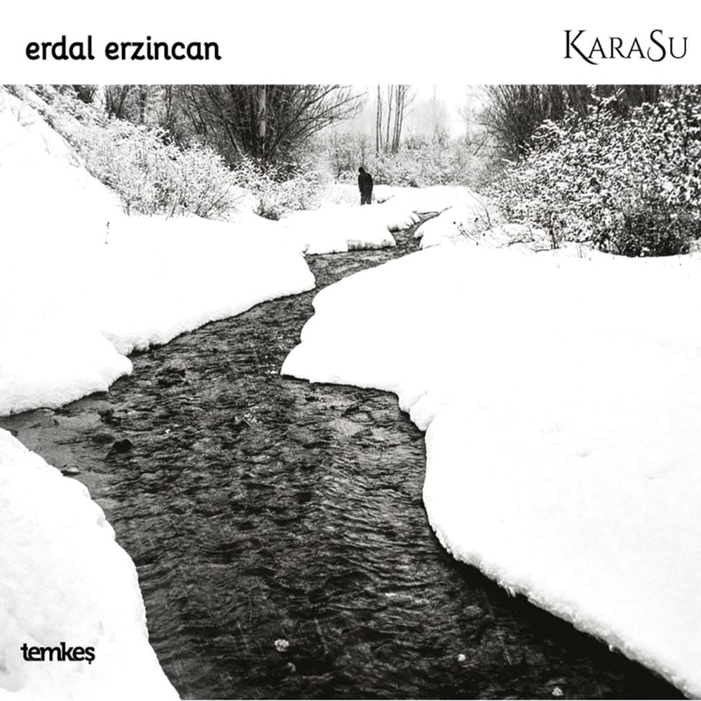 Göynük Çiftetellisi (Enstrümantal) by Erdal Erzincan