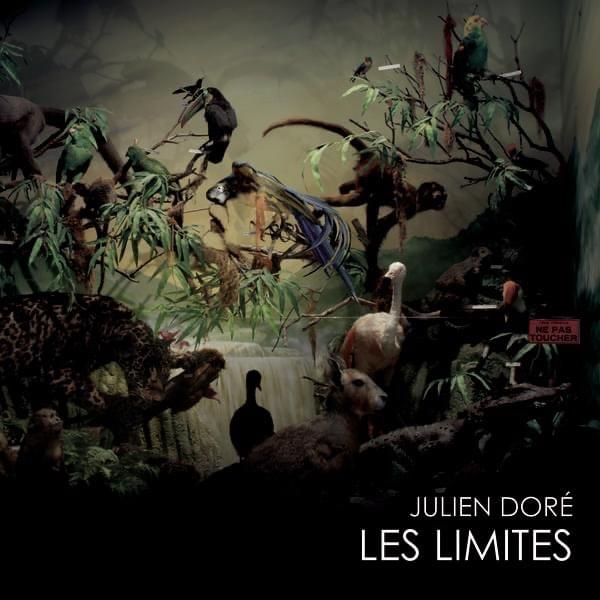 Album cover art for "Les limites" by Julien Doré