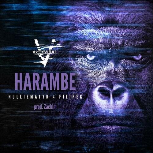 Album cover art for "Harambe" by Nullizmatyk