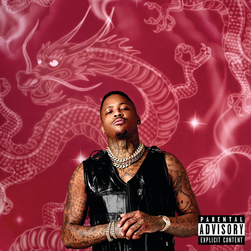 Cover image for STAY DANGEROUS