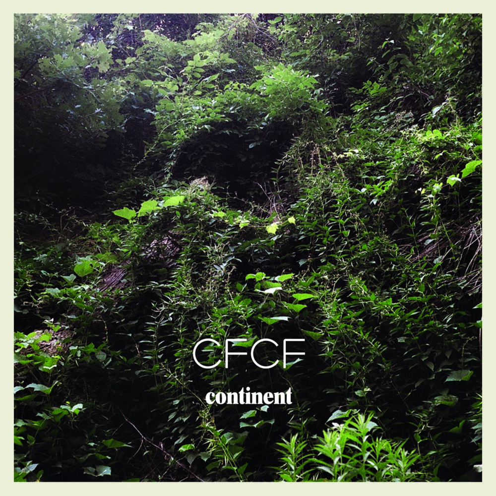 Cover image for Continent
