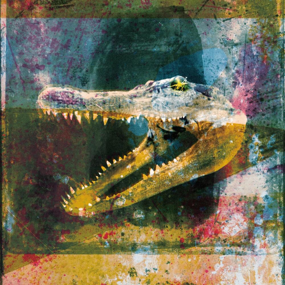 Album cover art for "Dry Fantasy" by Mogwai