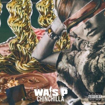 Cover image for Chinchilla