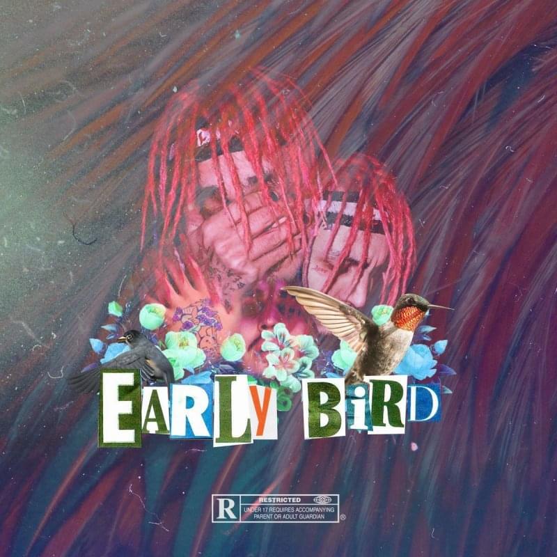 Album cover art for "Earlybird" by ITSOKTOCRY