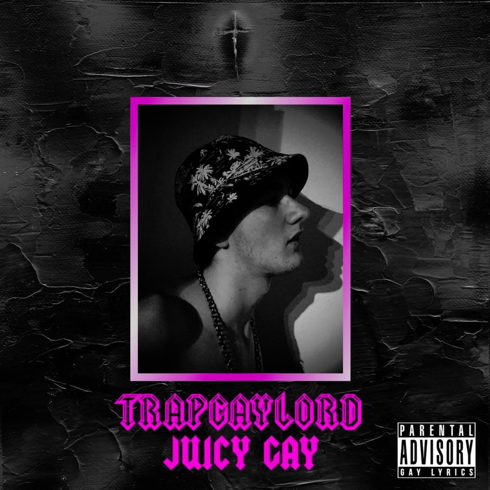 Cover image for Trapgaylord