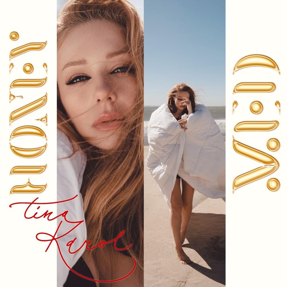 Album cover art for "HONEY & МЕД (Instrumental Version)" by Тіна Кароль (Tina Karol)