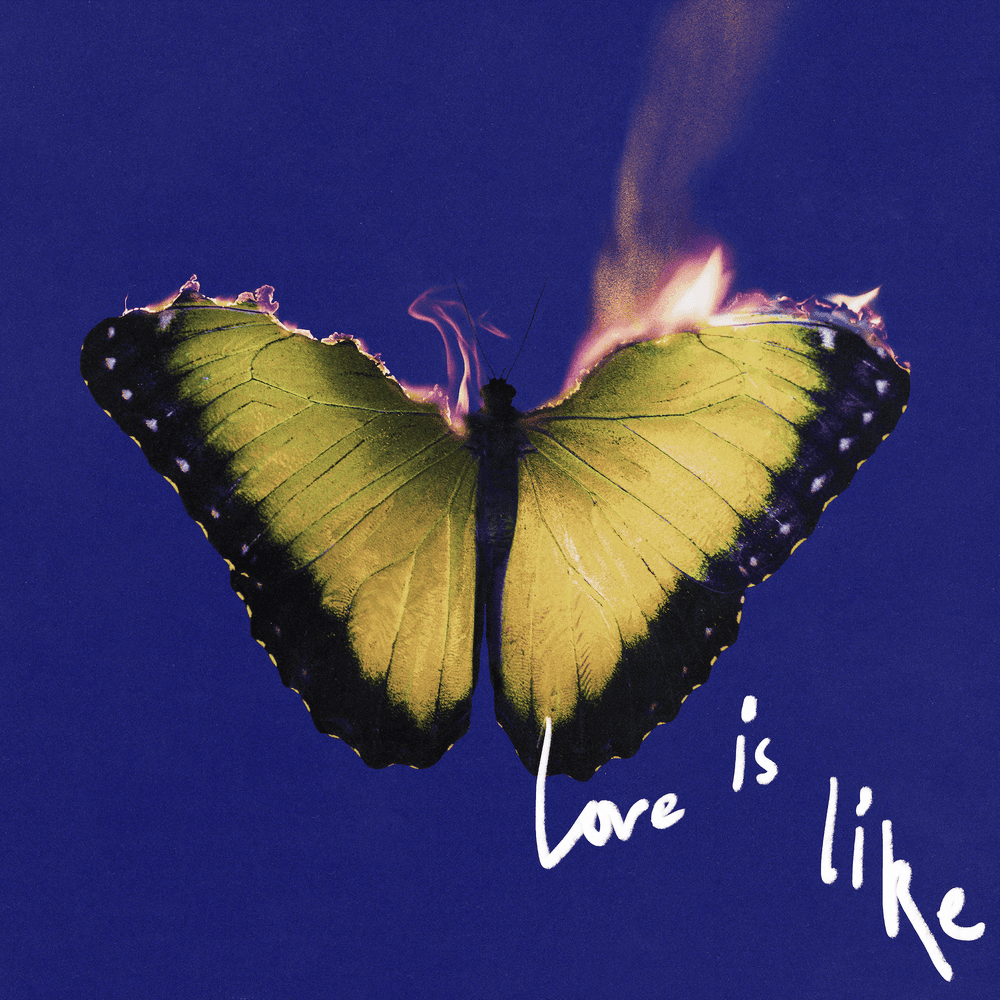 Cover image for Love Is Like (Deluxe)