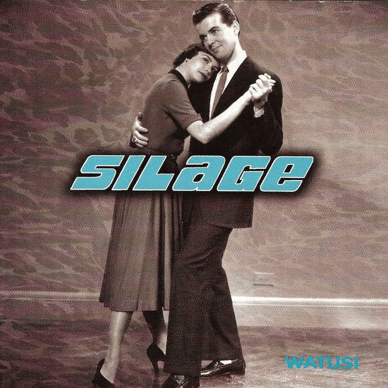 I Love The Radio by Silage