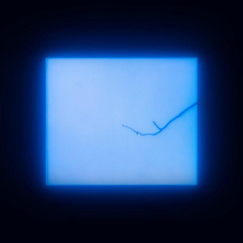 Album cover art for "Parliament Of Owls" by Agnes Obel