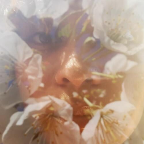 Cover image for VITAMIN D