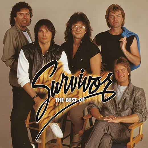 Cover image for The Best of Survivor