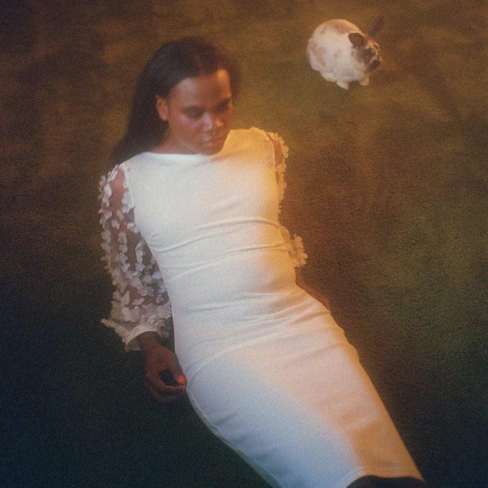 Album cover art for "Neverwannago" by Shamir