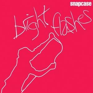 Cover image for Bright Flashes