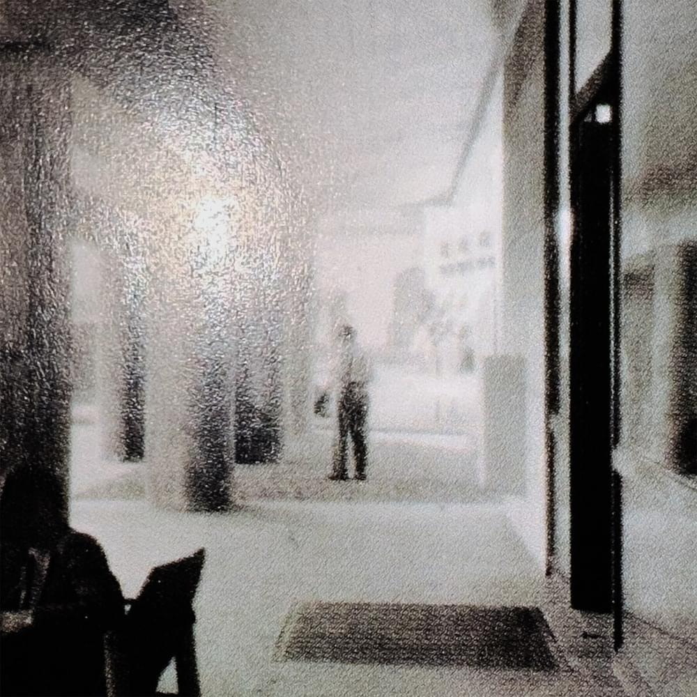 Cover image for voci dal corridoio