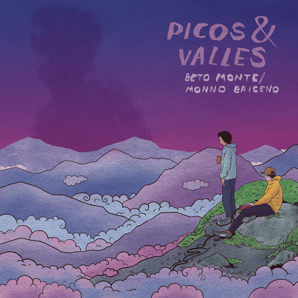 Cover image for Picos & Valles