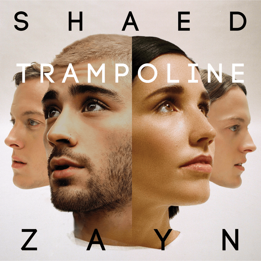 Trampoline (Remix) by SHAED