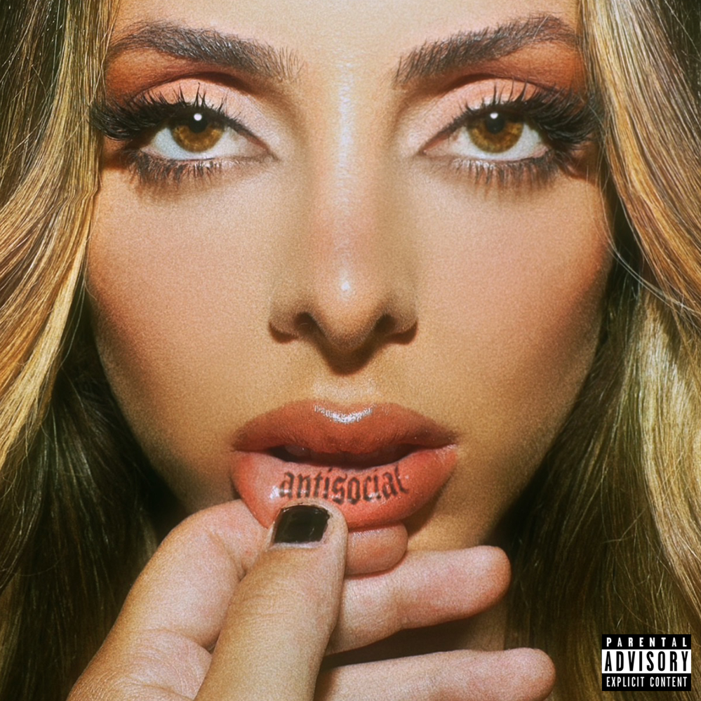 Cover image for Antisocial
