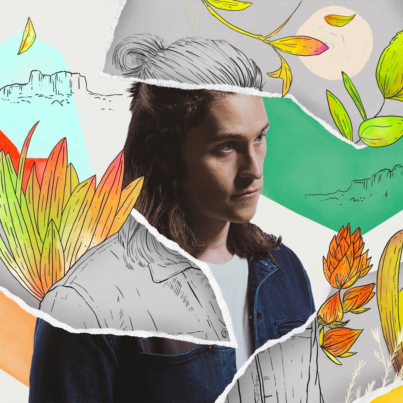Cover image for Big Wild