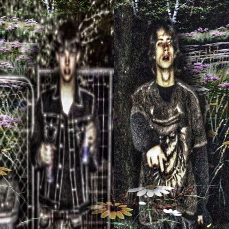 Album cover art for "FLOWERS" by Sematary